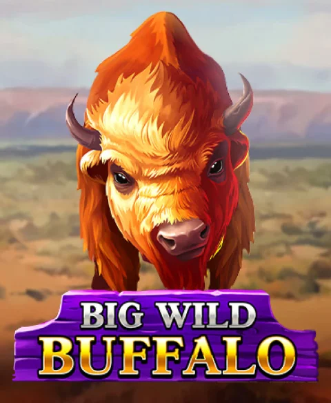 Play Big Wild Buffalo at Nord I Casino